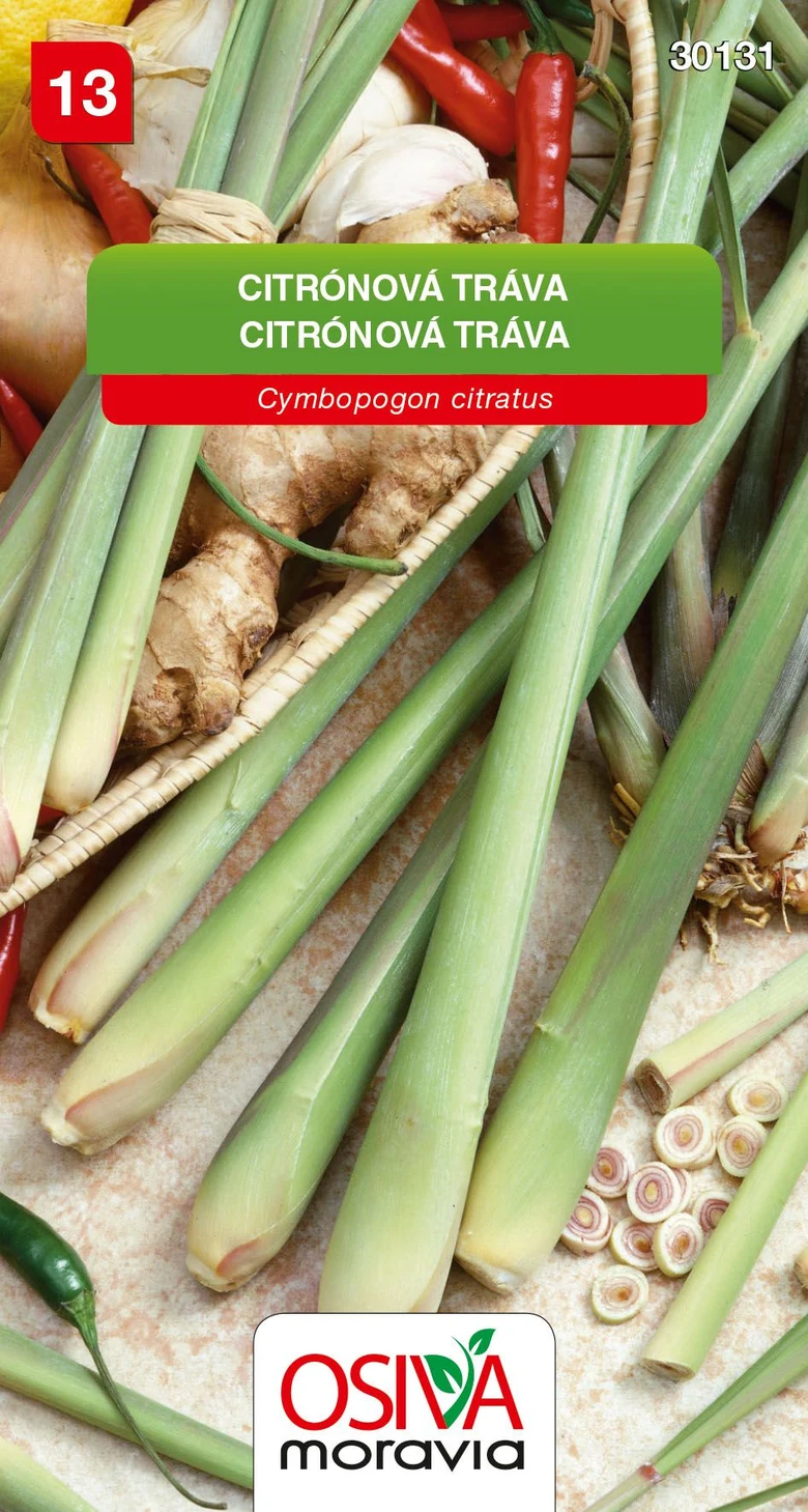 Čerstvá citronová tráva s kořeny a dalšími bylinkami na pozadí.
