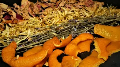 Sucht suché květiny, levandule a pomerančová kůra pro domácí potpourri.