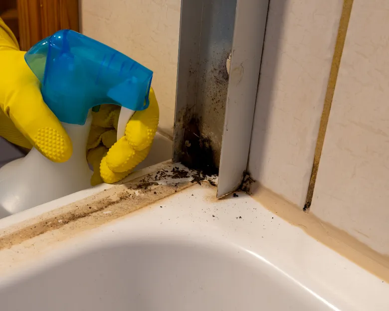 Ruční postřik čistícího prostředku na černou plíseň v koutě sprchy.