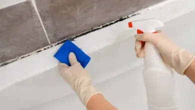 Ruční čištění černé plísně v sprše modrou utěrkou.