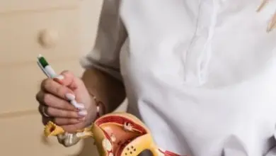 Lékař vysvětluje hysteroskopii pomocí modelu dělohy pacientovi.
